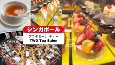 ＼🇸🇬 シンガポール／マリーナベイサンズの「TWG Tea Salon」で過ごす至福のティータイム✨