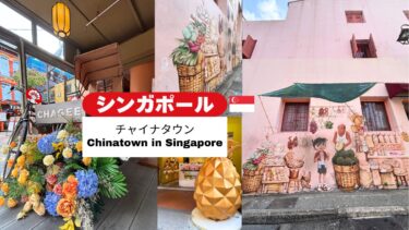＼🇸🇬 シンガポール／伝統とトレンドが交差する街。チャイナタウンの人気スポットを散策✨